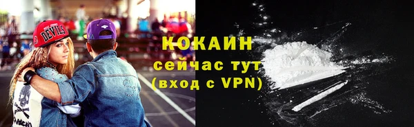 сатива Армянск