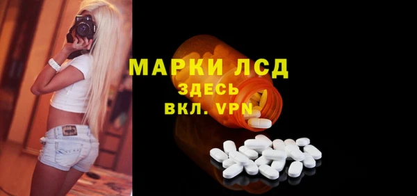 сатива Армянск