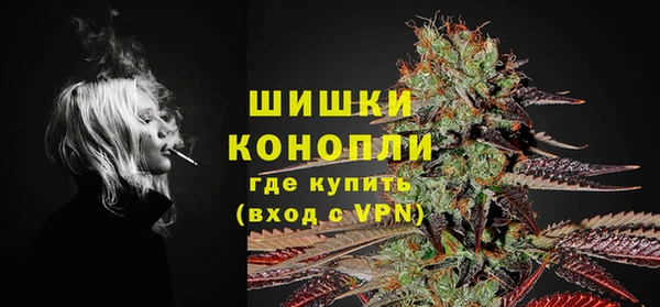 сатива Армянск
