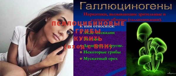 сатива Армянск