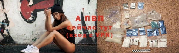 сатива Армянск