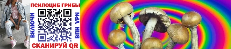 Псилоцибиновые грибы MAGIC MUSHROOMS  Нижняя Салда 